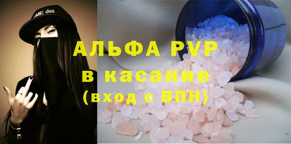 шишки Абаза