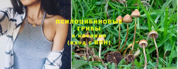 МДПВ Осташков