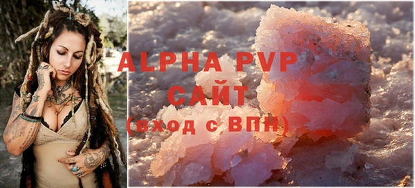 шишки Абаза