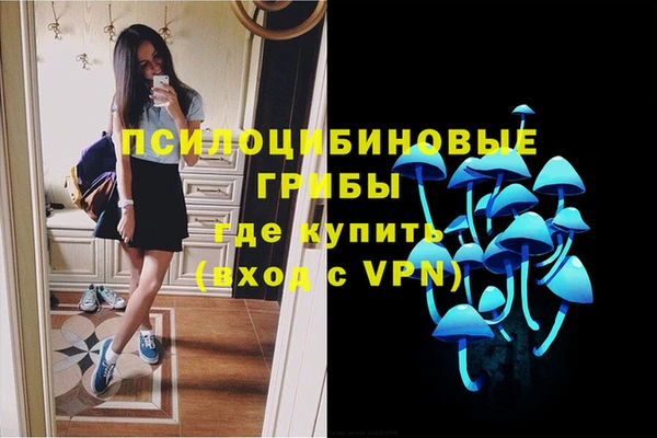 шишки Абаза