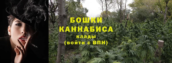 шишки Абаза