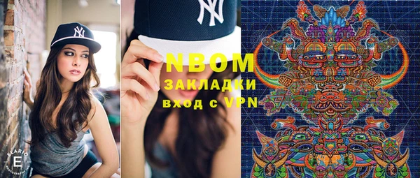 шишки Абаза